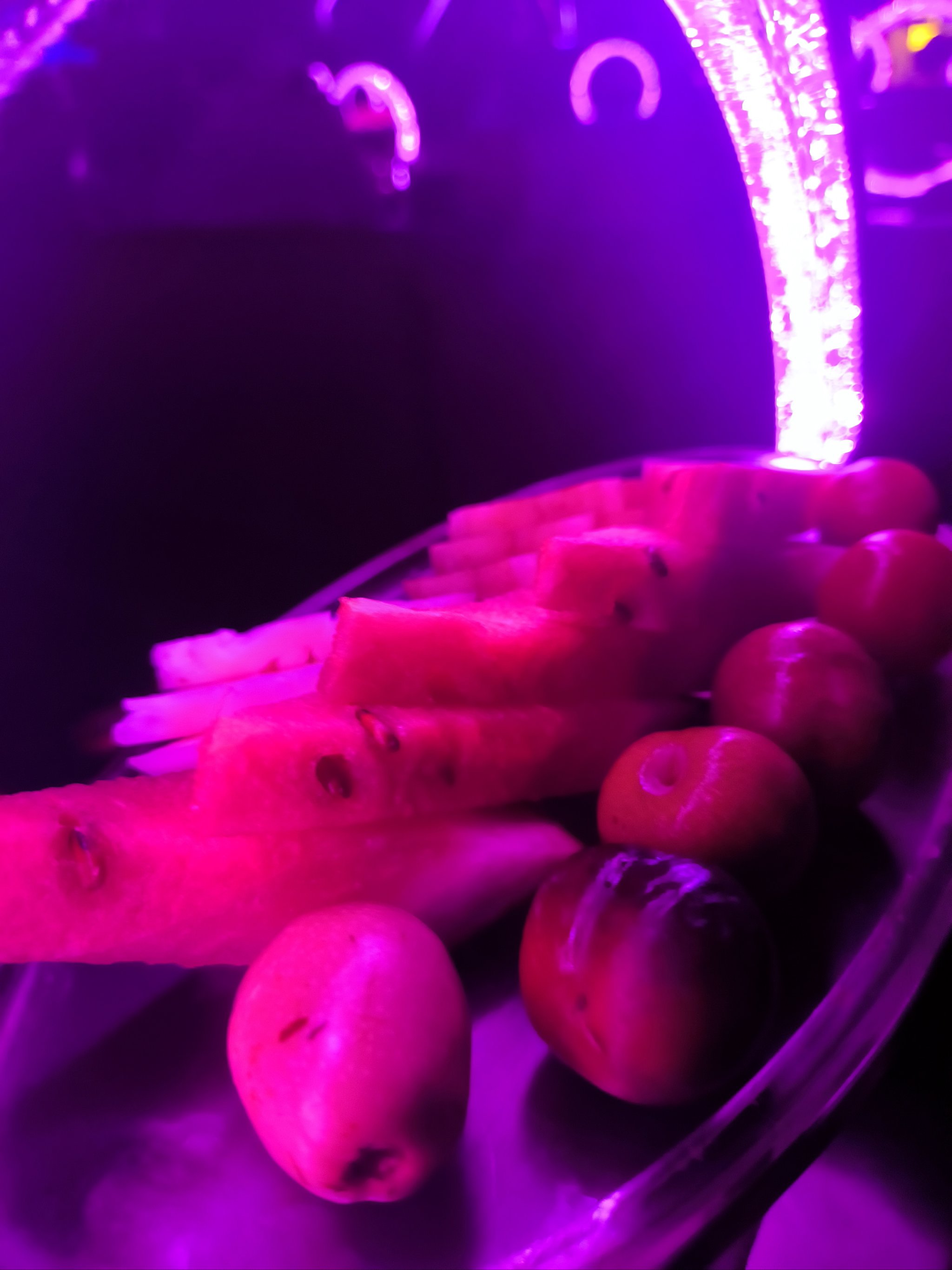 嘉兴商务ktv体验商务ktv好吗-桐乡市ktv预订